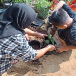 menanam sayur 2