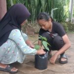 menanam sayur 1